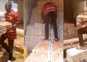 Man Walks on crates of eggs without breaking any (Video)