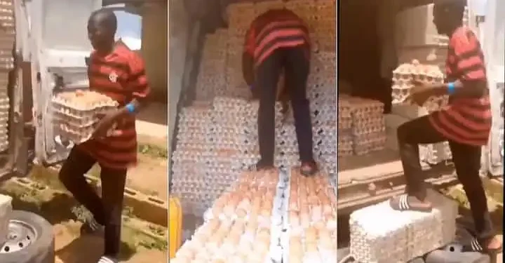 Man Walks On Crates Of Eggs5, Newsblenda