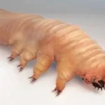 FwYfrCyXsAEK9Hl2