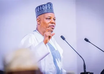 We Want To Create 1M Jobs In The Digital World- Shettima