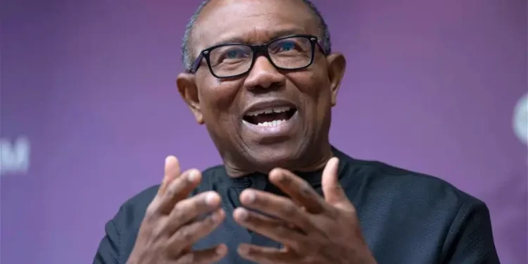 Peter Obi , Newsblenda