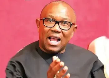 Peter Obi presents results of 6 States, 115 LGA as evidence