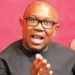 Peter Obi presents results of 6 States, 115 LGA as evidence