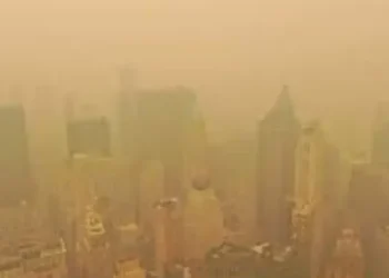 Canada wildfires burn over 10m hectares this year