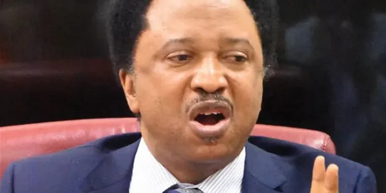 Shehu Sani, Newsblenda