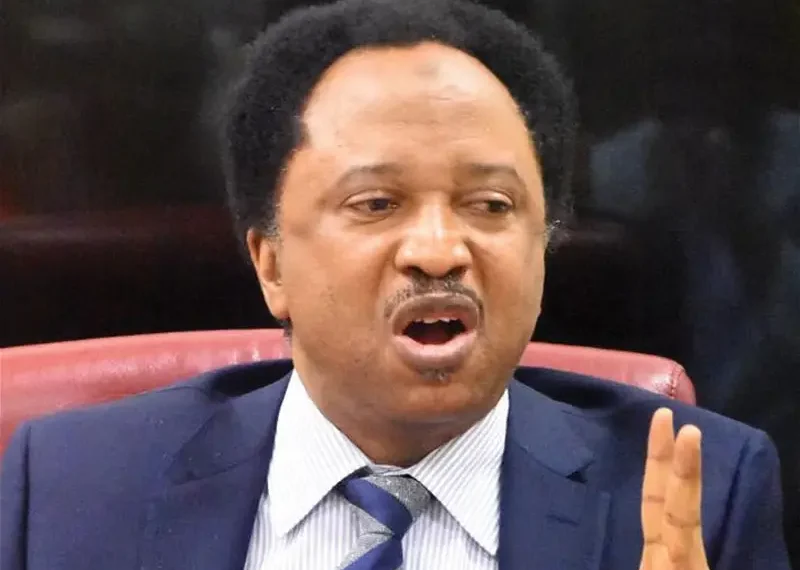 13 reasons why Nigerians should not support the invasion of Niger Republic- Shehu Sani 1 13 reasons why Nigerians should not support the invasion of Niger Republic- Shehu Sani