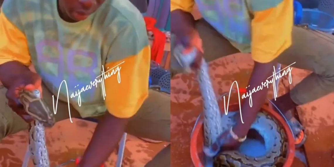 This video of boy bathing his snake has gone viral on social media (WATCH VIDEO) 1 This video of boy bathing his snake has gone viral on social media (WATCH VIDEO)