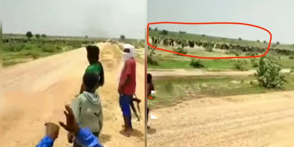 VIDEO: Hundreds of soldiers surfaced at Niger Republic boundaries