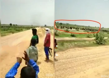 VIDEO: Hundreds of soldiers surfaced at Niger Republic boundaries