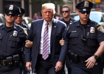 What Next For Donald Trump After Arrest?