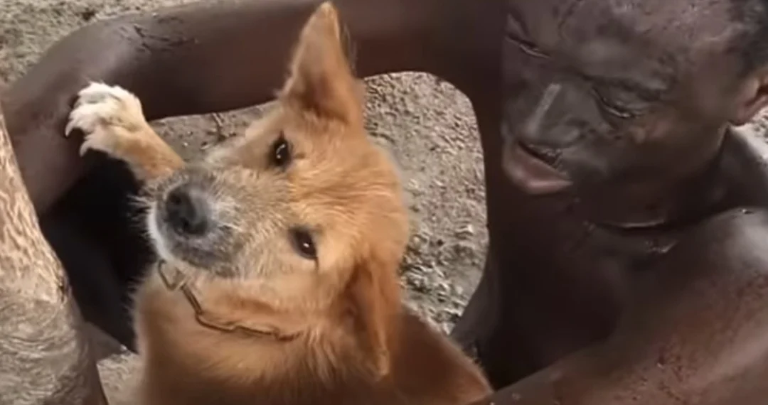 Man Caught Sleeping With His Dog In Delta State (VIDEO) 1 Man Caught Sleeping With His Dog In Delta State (VIDEO)