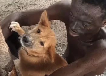 Man Caught Sleeping With His Dog In Delta State (VIDEO)