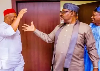 PDP unshaken by Uzodimma and Rochas Alliance