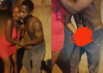 Olosho grab man’s gbola and bãlls for not paying after s£x (Video)