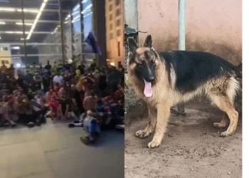 Hundreds Of German Citizens Protests Right To Identify As Dog (Video)