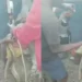 Villagers forces a python to drink 3 bottles of beer for biting someone - Watch Video 10 Villagers forces a python to drink 3 bottles of beer for biting someone – Watch Video