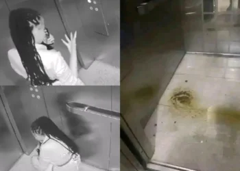 Lady caught pooping inside an elevator and wiping with bare hands (Video)