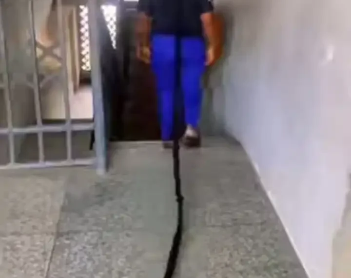 Is this clout or style? Lady causes buzz online with her hairstyle (video) 1 Is this clout or style? Lady causes buzz online with her hairstyle (video)