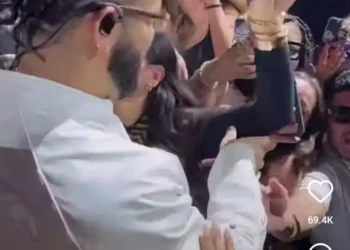 Did she do too much? Watch moment Drake pushes fan off him in Dallas (Video)