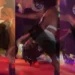 See what a Nigerian man did to a strìppé₹ inside club (Viral Video) 10 See what a Nigerian man did to a strìppé₹ inside club (Viral Video)