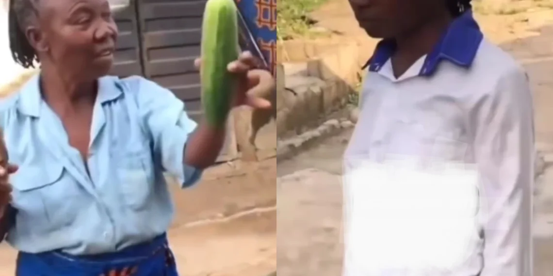 This is what you are swallowing! – Mom rages after discovering big cucumber in her girl’s bag [VIDEO]