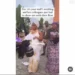 See the trending video of Veekee James entrance to her PA's wedding that got everyone talking (Watch) 10 See the trending video of Veekee James entrance to her PA’s wedding that got everyone talking (Watch)