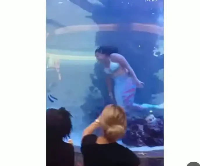 Shopping mall mermaid struggles for air as her tail got stuck on reef inside an aquarium tank (Video) 1 Shopping mall mermaid struggles for air as her tail got stuck on reef inside an aquarium tank (Video)