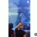 Shopping mall mermaid struggles for air as her tail got stuck on reef inside an aquarium tank (Video) 10 Shopping mall mermaid struggles for air as her tail got stuck on reef inside an aquarium tank (Video)
