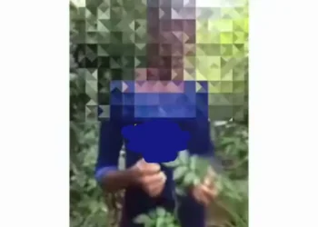 Notorious r@pi$t arrested after allegedly d€filing a 13-year-old girl in Imo