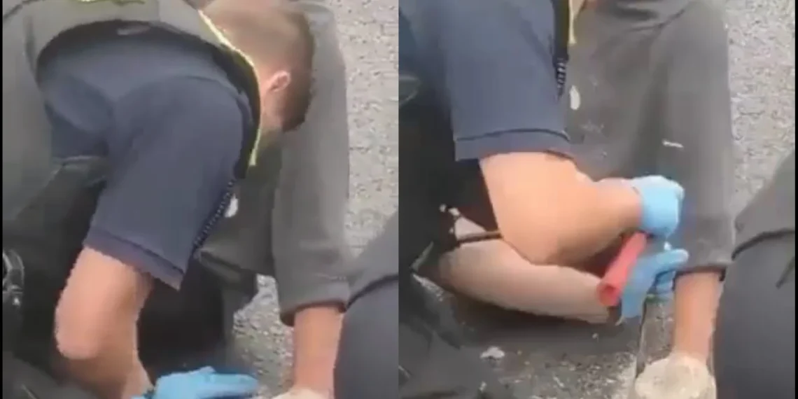 Girl Superglues Herself To The Road To Protest Against Climate Change 1 Girl Superglues Herself To The Road To Protest Against Climate Change