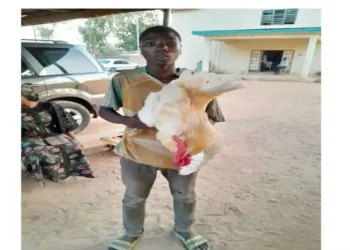 Man arrested for having s£x with a cock in Adamawa