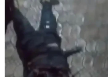 Unknown gunmen reportedly attacked a nightclub in Oba, killing many