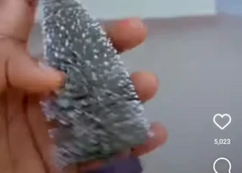 “Water it twice a day”- Netizens react to the size of a Christmas tree a lady ordered online (Video)