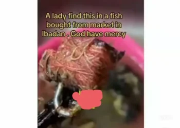 Shock as lady finds Fetish Padlock Inside Fish in Ibadan