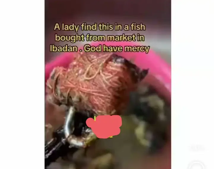 Shock as lady finds Fetish Padlock Inside Fish in Ibadan 1 Shock as lady finds Fetish Padlock Inside Fish in Ibadan