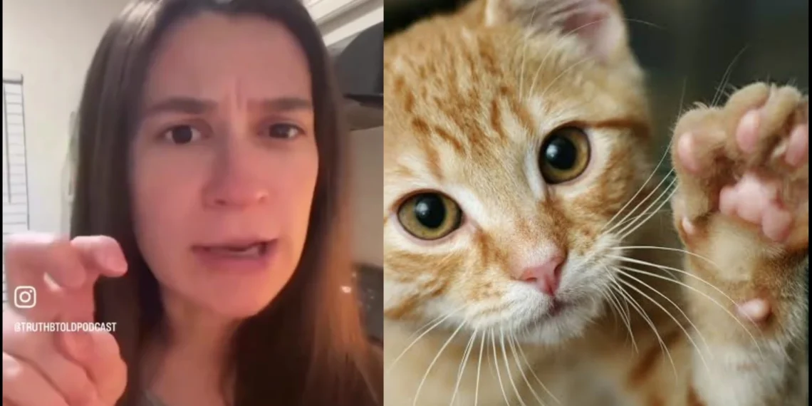 Mom Threatens To Sue A High School For Not Allowing His Son Identify As A Cat