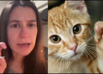 Mom Threatens To Sue A High School For Not Allowing His Son Identify As A Cat