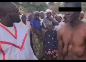 Man grooms giant boobs after being sucked by giant snake each night