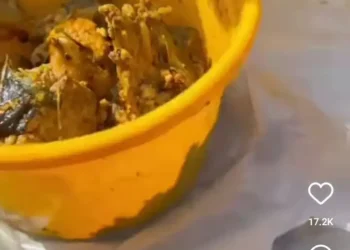 Dispatch Rider ate half bowl of Banga soup and catfish sent for delivery (Video)