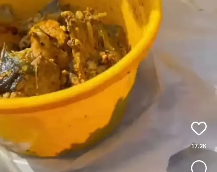 Dispatch Rider ate half bowl of Banga soup and catfish sent for delivery (Video) 1 Dispatch Rider ate half bowl of Banga soup and catfish sent for delivery (Video)