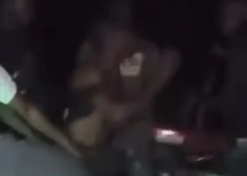 Palm Wine Tapper Exposed in Delta Smuggling Food and Other Items to Kidnappers at Night (Video)