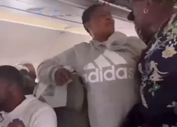 Women in heated argument over hand luggage compartment in an aircraft (Video)