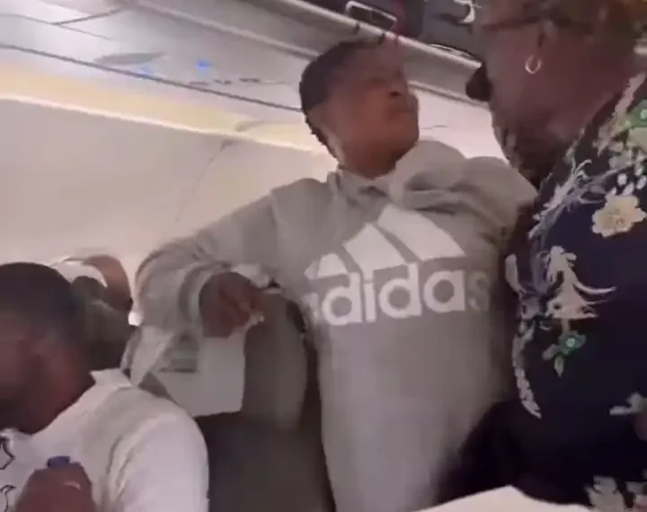 Women in heated argument over hand luggage compartment in an aircraft (Video)
