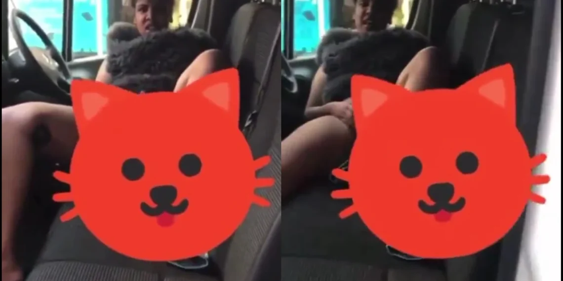 Man Gets Harassed By A Girl Inside His Car [VIDEO]