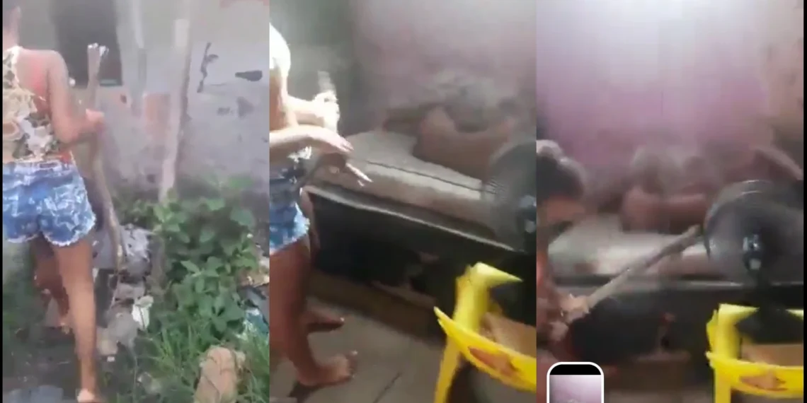 Jealous Girlfriend Brutalizes A Girl She Caught Ñakēd With Her Boyfriend [VIDEO]