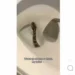 Scary video as snake slithers out of a WC in the early hours of the morning (Video) 10 Scary video as snake slithers out of a WC in the early hours of the morning (Video)