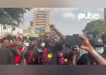 Ghana Football Fans Protest, Demand Changes After Disappointing Performance at AFCON (Video)