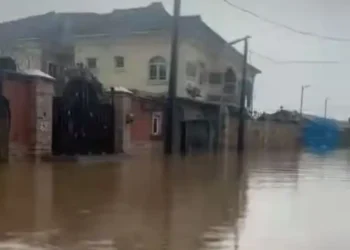 Cars and houses submerged in water after it rained for 1 hour and 30 minutes ( Video)