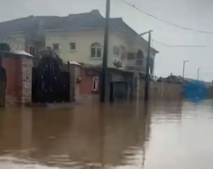 Cars and houses submerged in water after it rained for 1 hour and 30 minutes ( Video) 1 Cars and houses submerged in water after it rained for 1 hour and 30 minutes ( Video)