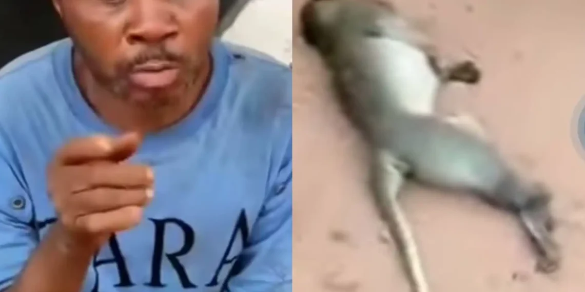 Man arrested in Awka for K!ling a Monkey 1 Man arrested in Awka for K!ling a Monkey
